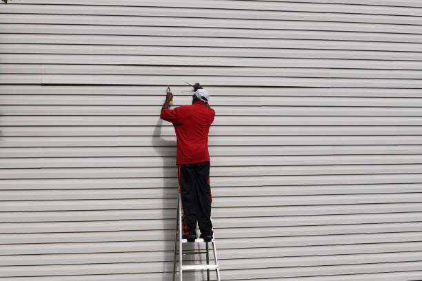 Best Custom Trim and Detailing for Siding  in Thunderbolt, GA